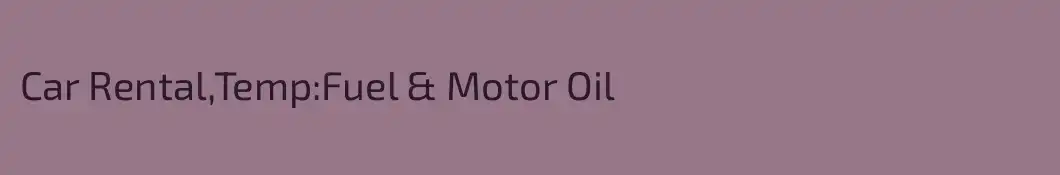 Car Rental,Temp:Fuel & Motor Oil